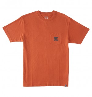 Auburn DC Shoes DC Star - T-Shirt | 064BYAUDG