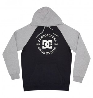 Black / Grey Heather DC Shoes DC Star Pilot - Hoodie | 657ZEVOLS