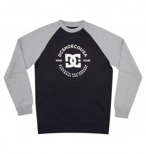 Black / Grey Heather DC Shoes DC Star Pilot - Sweatshirt | 251IEKATZ