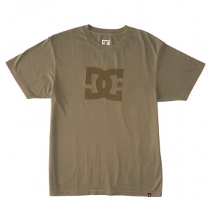 Capers Enzyme Wash DC Shoes DC Star Pigment Dye - T-Shirt | 725MFWTAE