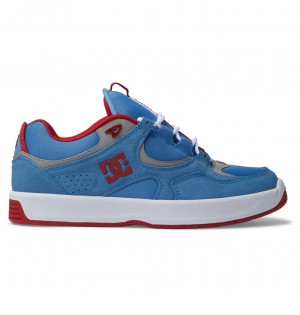 Carolina Blue DC Shoes Kalynx Zero S - Leather Skate Shoes | 764WXPNHC