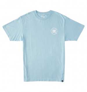 Forget Me Not DC Shoes DC Star Pilot - T-Shirt | 130DHSPGL