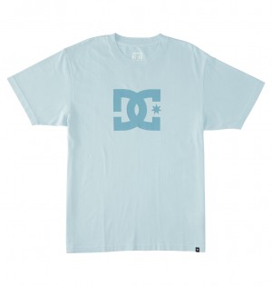 Forget Me Not Enzyme Wash DC Shoes DC Star Pigment Dye - T-Shirt | 708IBDAJY