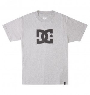 Heather Grey DC Shoes DC Star - T-Shirt | 854XQEHDW