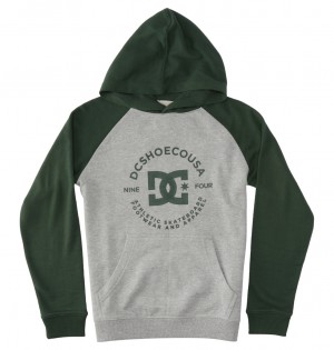 Heather Grey / Sycamore DC Shoes DC Star Pilot - Hoodie 8-16 | 652JGOQUP