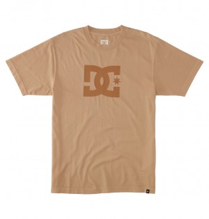 Incense Enzyme Wash DC Shoes DC Star - T-Shirt | 269DSMQER