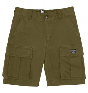 Ivy Green DC Shoes Tundra - Cargo Shorts 8-16 | 098NLKDZA