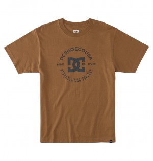 Otter DC Shoes DC Star Pilot - T-Shirt | 853KGIAEW