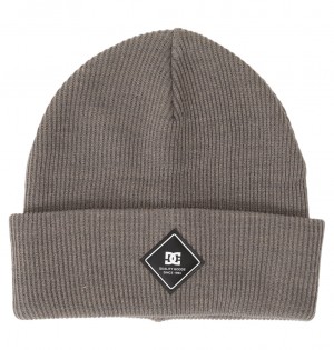 Pewter DC Shoes Label - Beanie | 381QSXGFV