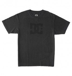 Pirate Black Enzyme Wash DC Shoes DC Star Pigment Dye - T-Shirt | 298JRMNUI