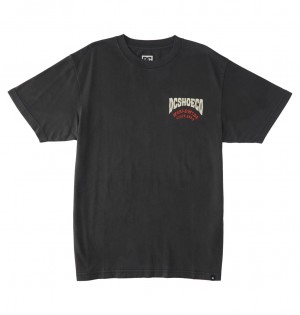 Pirate Black Enzyme Wash DC Shoes Defiant - T-Shirt | 325DSCYQE