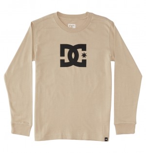 Plaza Taupe DC Shoes DC Star - Long Sleeve T-Shirt | 621AFMGBL