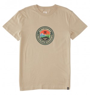 Plaza Taupe DC Shoes Outdoorsman - T-Shirt | 270YXPHQR