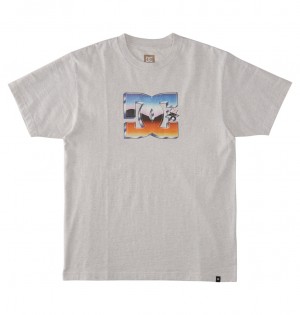 Snow Heather DC Shoes Chrome - T-Shirt | 758WKUISG