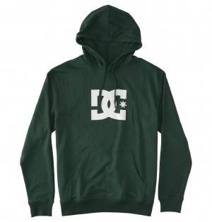 Sycamore DC Shoes DC Star - Hoodie | 204KMJDLT