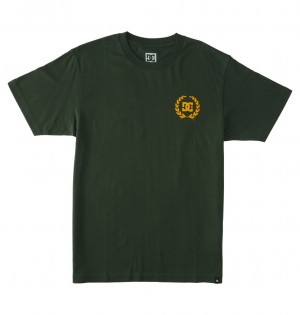 Sycamore DC Shoes Lifes Changing - T-Shirt | 073GBKAQH