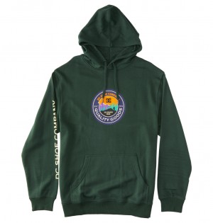 Sycamore DC Shoes Outdoorsman - Hoodie | 783MBWIVN