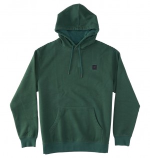 Sycamore Garment Dye DC Shoes DC 1994 - Hoodie | 372EMFGSL