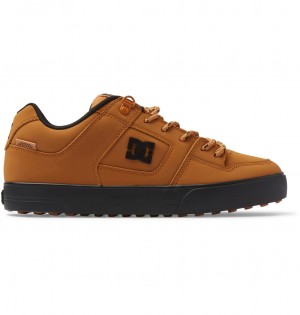 Wheat DC Shoes Pure WNT - Winterised Shoes | 056SGWMTL