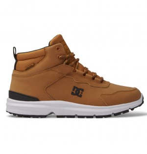 Wheat / Black DC Shoes Mutiny - Leather Boots | 920MSDHKL