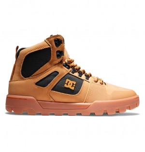 Wheat / Black DC Shoes Pure Hi - Water Resistant High Top Leather Boots | 687OWHRUY