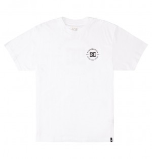 White DC Shoes DC Star Pilot - T-Shirt | 987BYZHWX