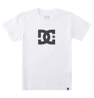 White DC Shoes DC Star - Short Sleeve T-Shirt 8-16 | 973VLFWPK