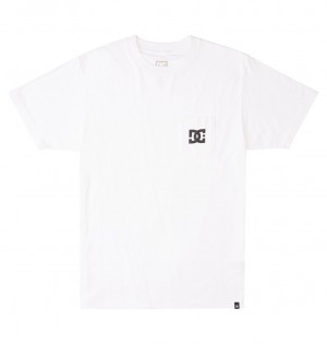 White DC Shoes DC Star - T-Shirt | 319SMVALY