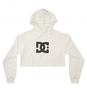 White DC Shoes DC - Hoodie | 682NGBLRU