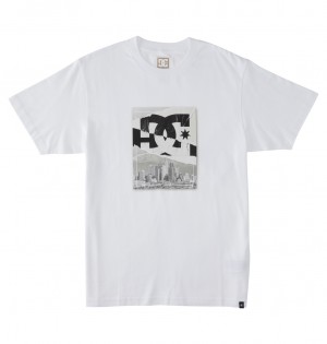 White DC Shoes Notice - T-Shirt | 906SCPTVF