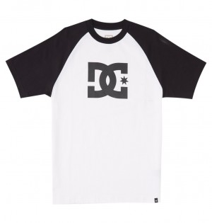 White / Black DC Shoes DC Star - T-Shirt | 873FBARZO