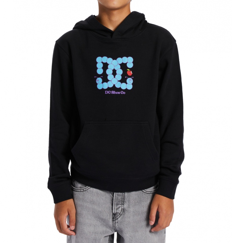 Black DC Shoes Bookworm - Hoodie 10-16 | 739EUCGYO