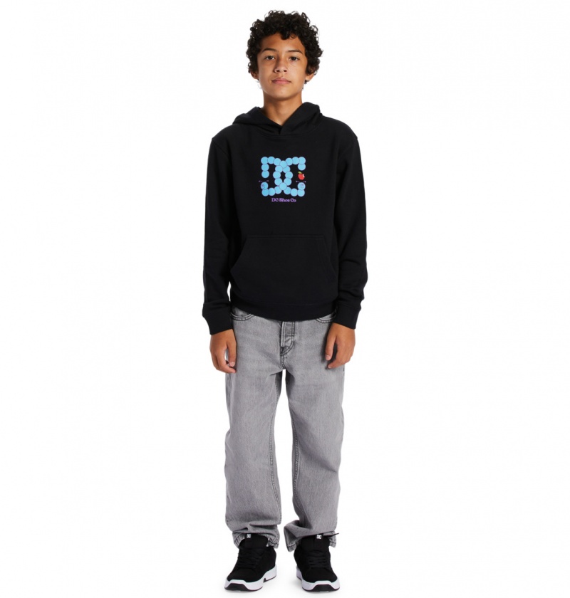 Black DC Shoes Bookworm - Hoodie 10-16 | 739EUCGYO