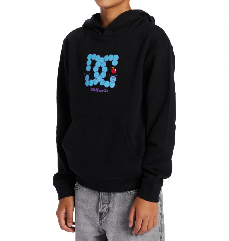 Black DC Shoes Bookworm - Hoodie 10-16 | 739EUCGYO