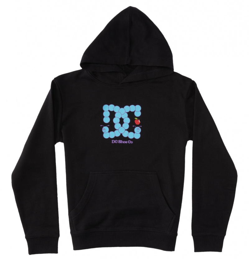 Black DC Shoes Bookworm - Hoodie 10-16 | 739EUCGYO