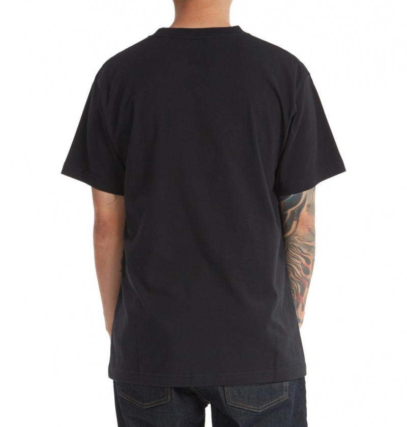 Black DC Shoes DC Star Pilot - T-Shirt | 289HYDRWS