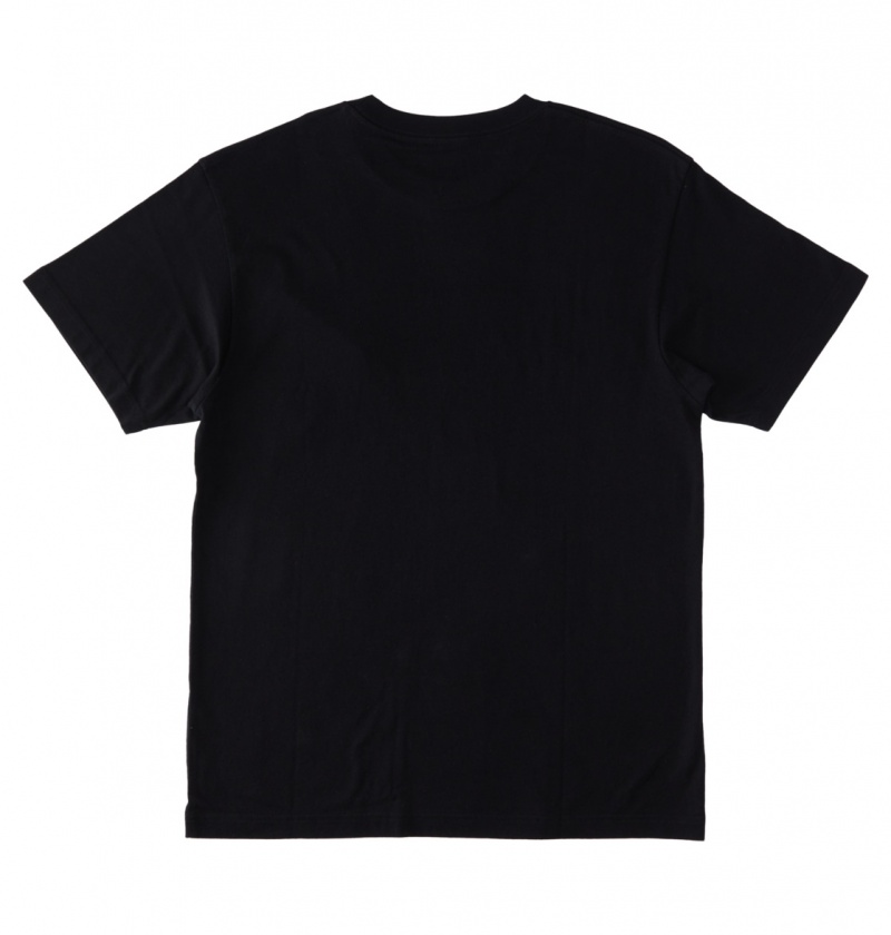 Black / Cloud Cover DC Shoes DC Star Fill - Short Sleeve T-Shirt | 394PDXLJV