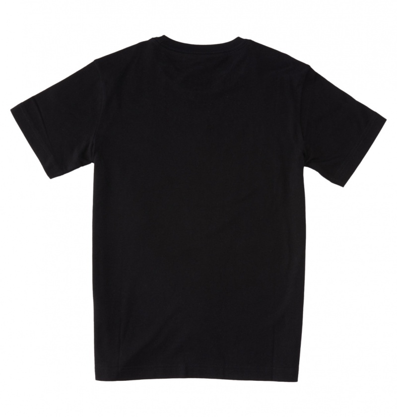 Black / Cloud Cover DC Shoes DC Star Fill - Short Sleeve T-Shirt 8-16 | 192GEFYSC