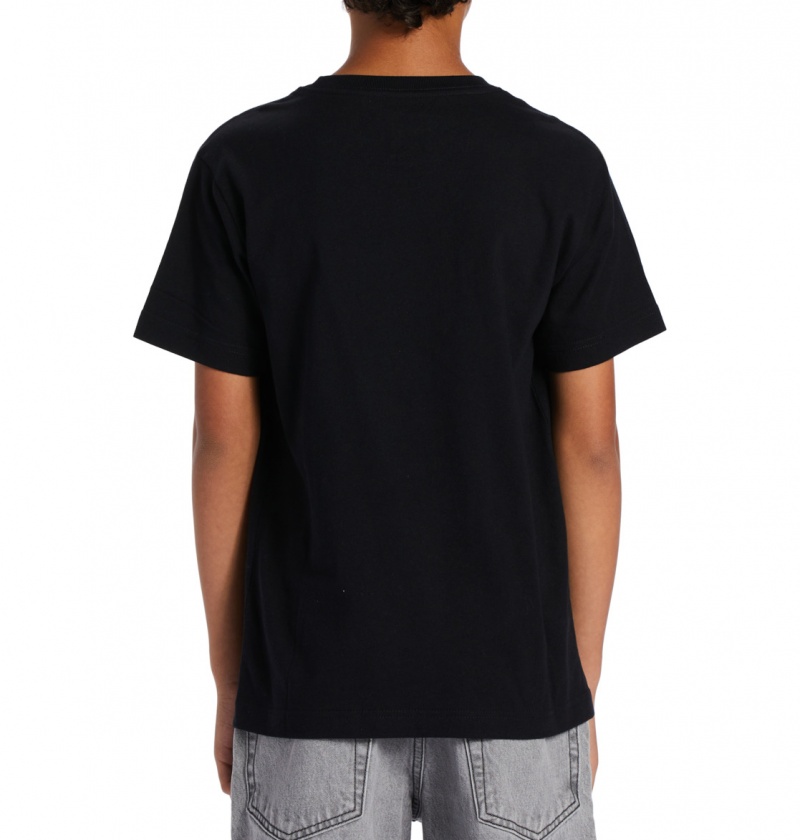 Black / Cloud Cover DC Shoes DC Star Fill - Short Sleeve T-Shirt 8-16 | 192GEFYSC