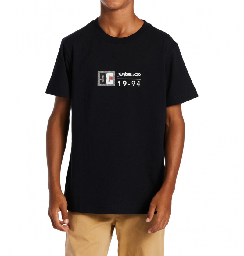 Black / Greystone DC Shoes DC Split Star - T-Shirt | 715XODEPN