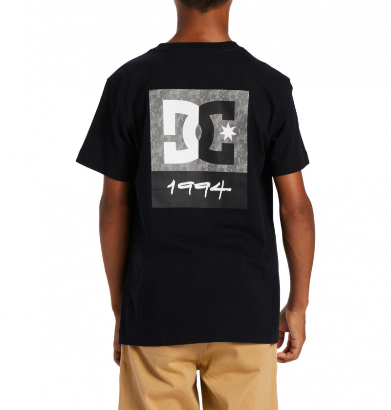 Black / Greystone DC Shoes DC Split Star - T-Shirt | 715XODEPN