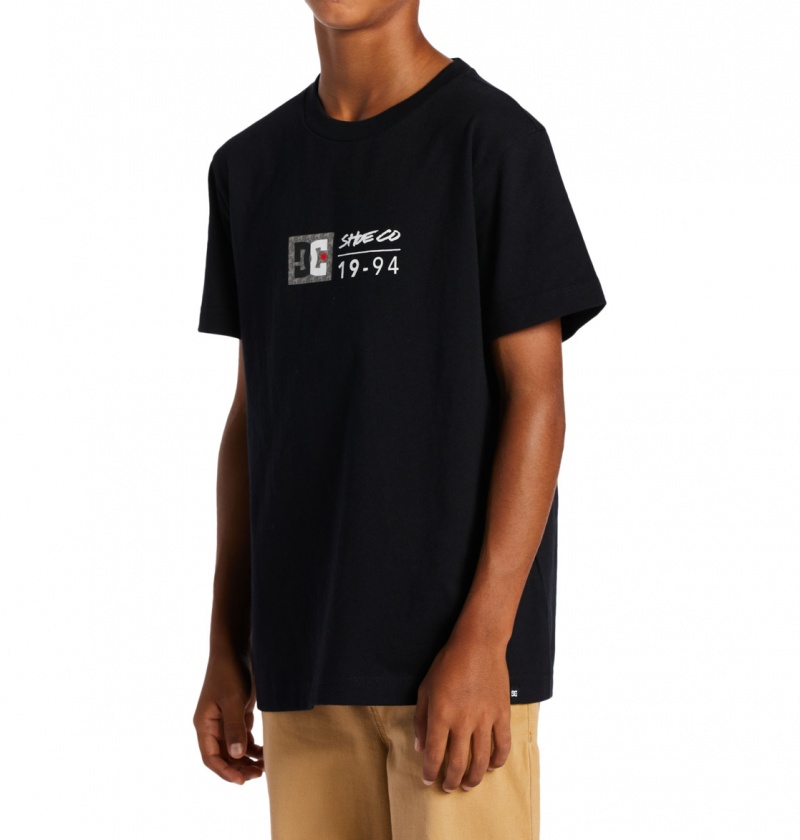 Black / Greystone DC Shoes DC Split Star - T-Shirt | 715XODEPN