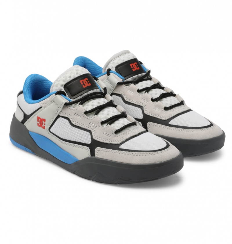 Blue / White DC Shoes DC Metric Le - Leather Shoes | 062TLQIPW