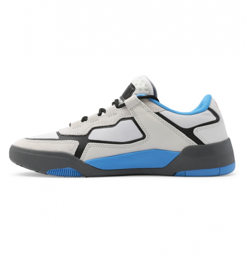 Blue / White DC Shoes DC Metric Le - Leather Shoes | 062TLQIPW