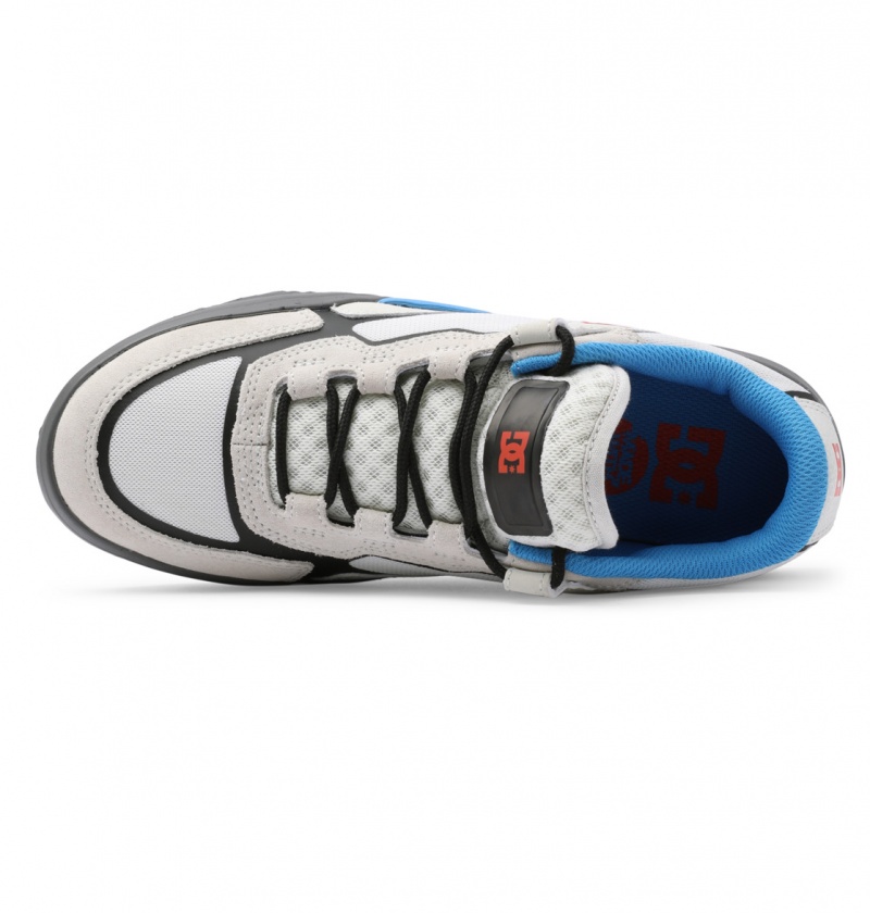 Blue / White DC Shoes DC Metric Le - Leather Shoes | 062TLQIPW