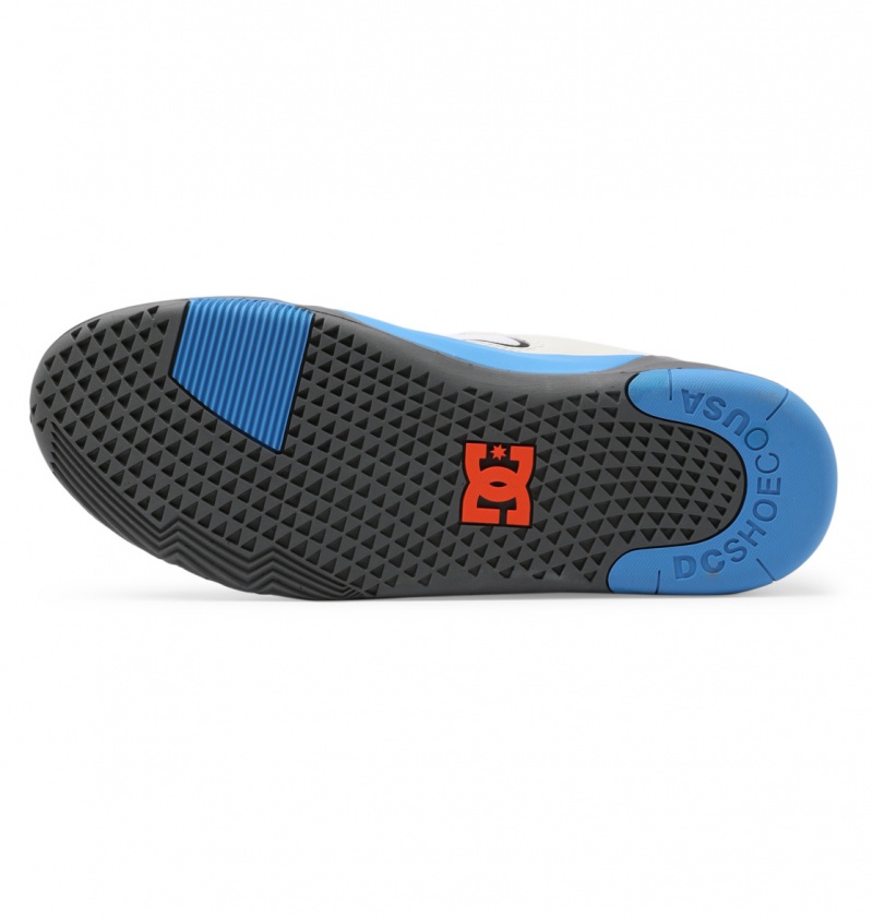 Blue / White DC Shoes DC Metric Le - Leather Shoes | 062TLQIPW