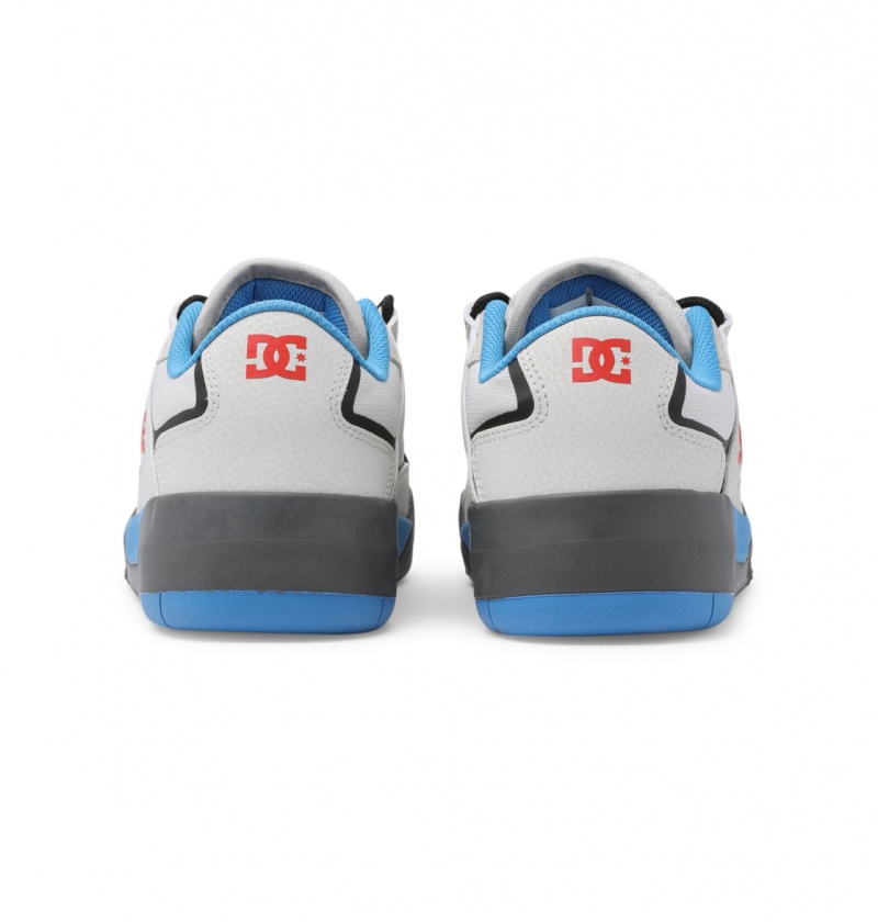 Blue / White DC Shoes DC Metric Le - Leather Shoes | 062TLQIPW