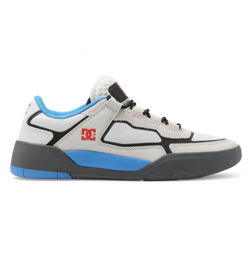 Blue / White DC Shoes DC Metric Le - Leather Shoes | 062TLQIPW