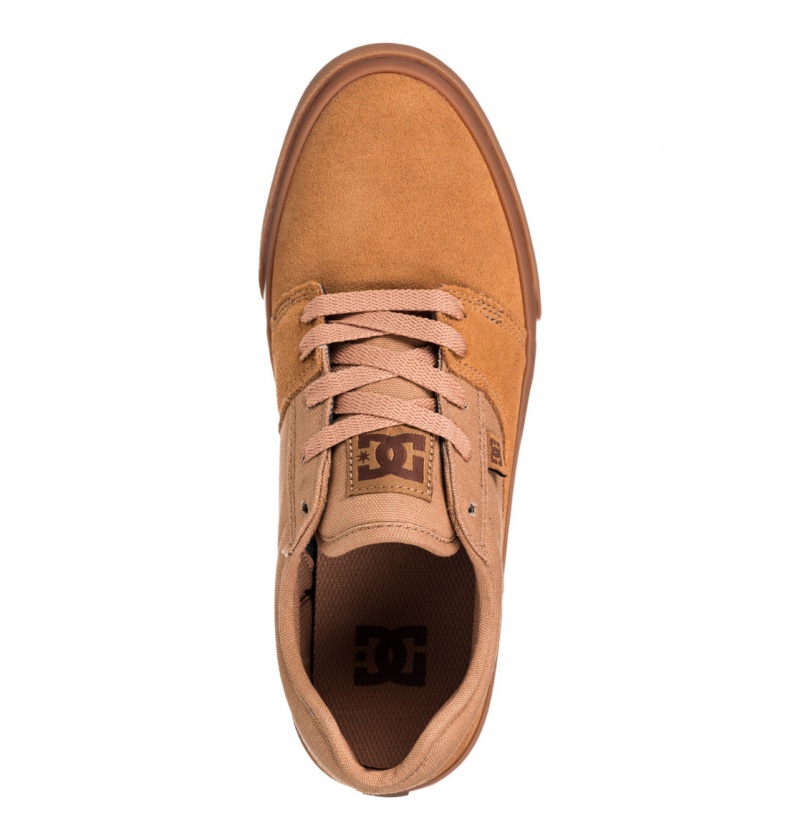 Brown / Gum DC Shoes Tonik - Leather Shoes | 064SLZBFG