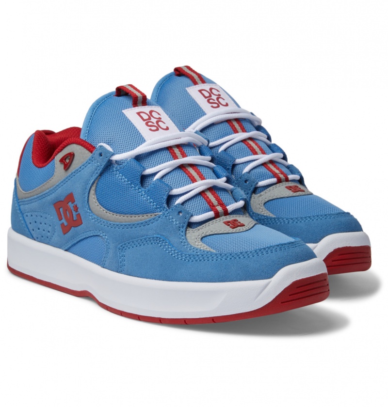 Carolina Blue DC Shoes Kalynx Zero S - Leather Skate Shoes | 764WXPNHC